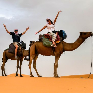 Morocco Camel Trekking in Sahara Desert