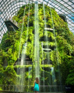 Gardens by the Bay Cloud Forest Waterfall long shutter speed shot