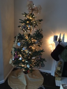 Our "Charlie Brown" Christmas Tree