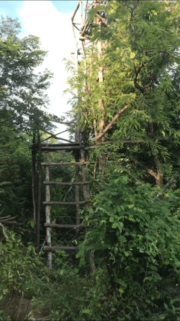 Ladder up to the first level of the hidden tower