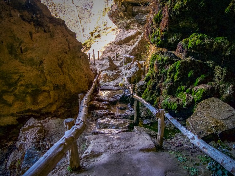 Rock path in Hamilton Pool Preserve