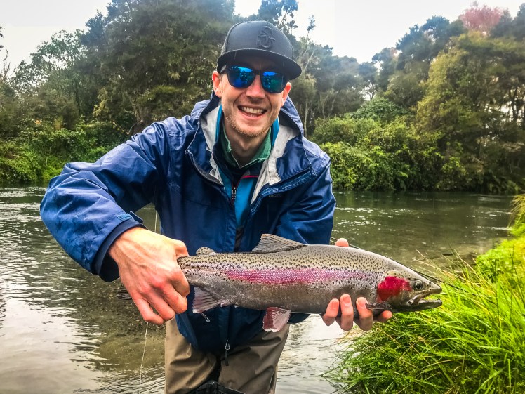 Rainbow Trout Taupo, New Zealand