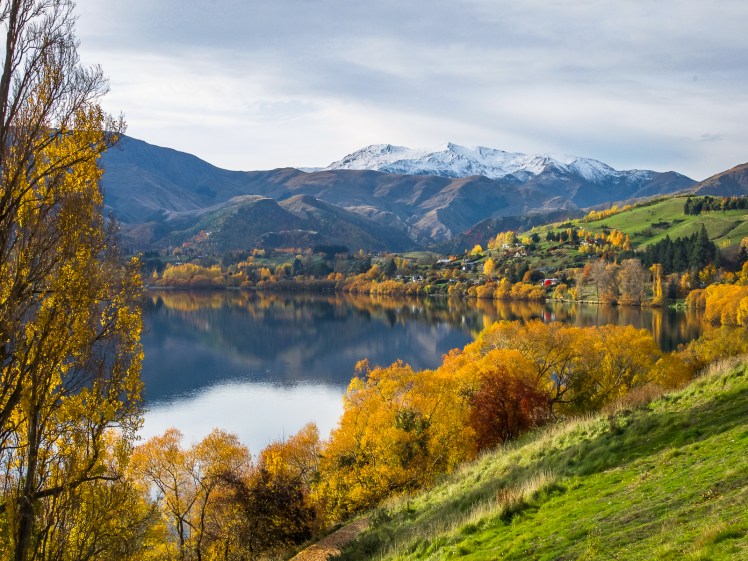 Queenstown fall colors