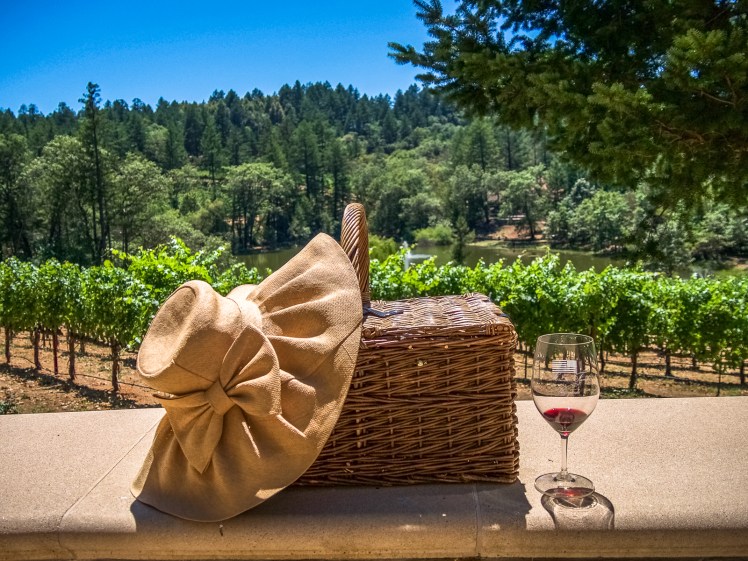 Picnic at the vineyard