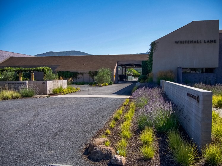 Whitehall Lane Tasting Room