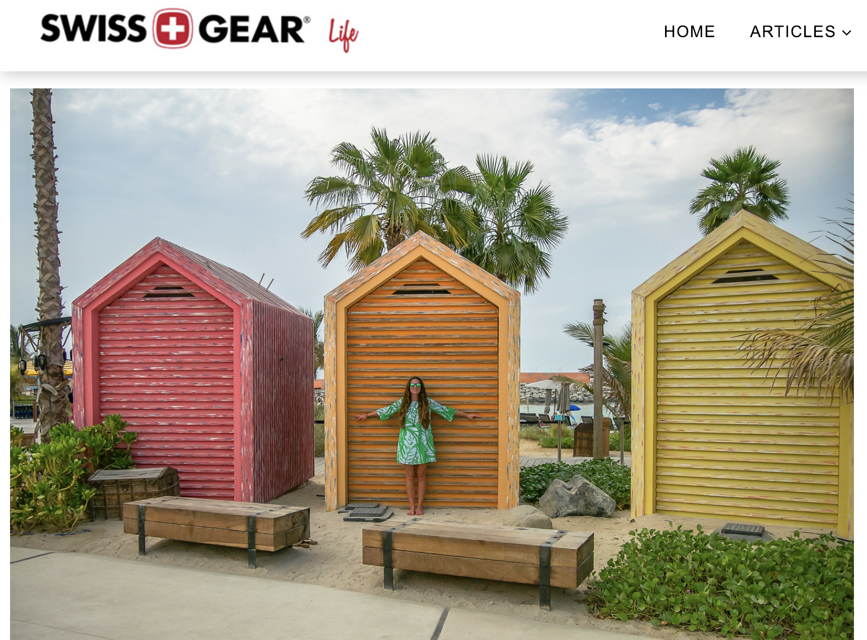 Screenshot of my blog on Swissgear.com