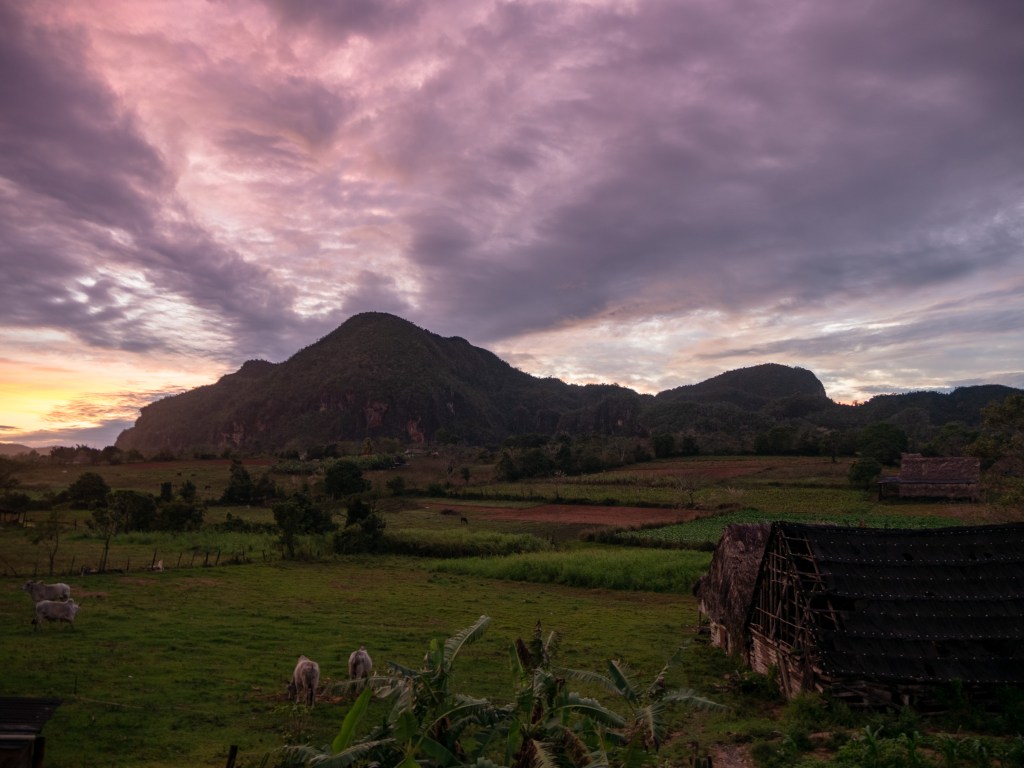 Sunset view from Airbnb in Vinales