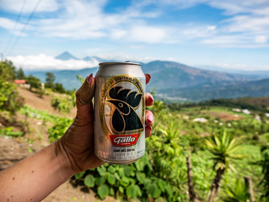 Gallo Cerveza (Guatemalan beer)