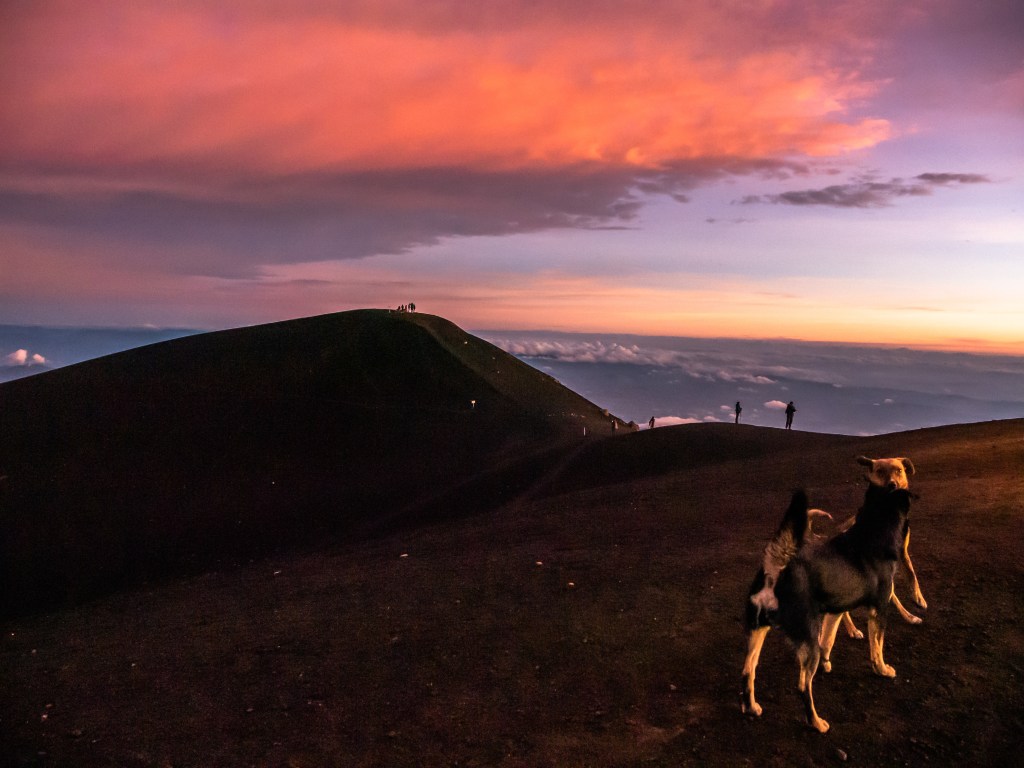 Crater of Acatenango at sunrise with dogs